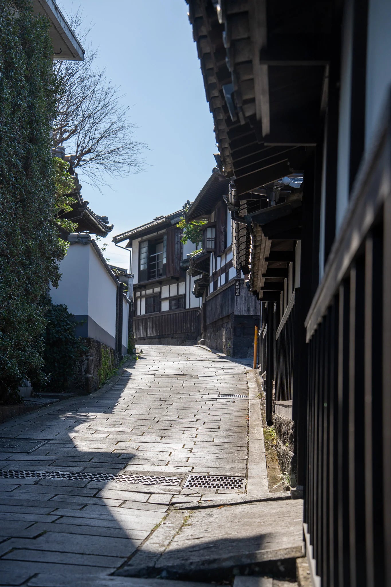 Certified Sake Sommelier® (Sake Brewery Tour)